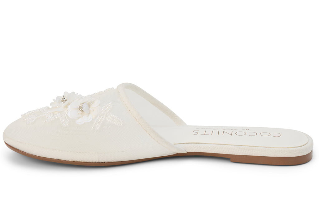 Coconuts by Matisse Women's Maven