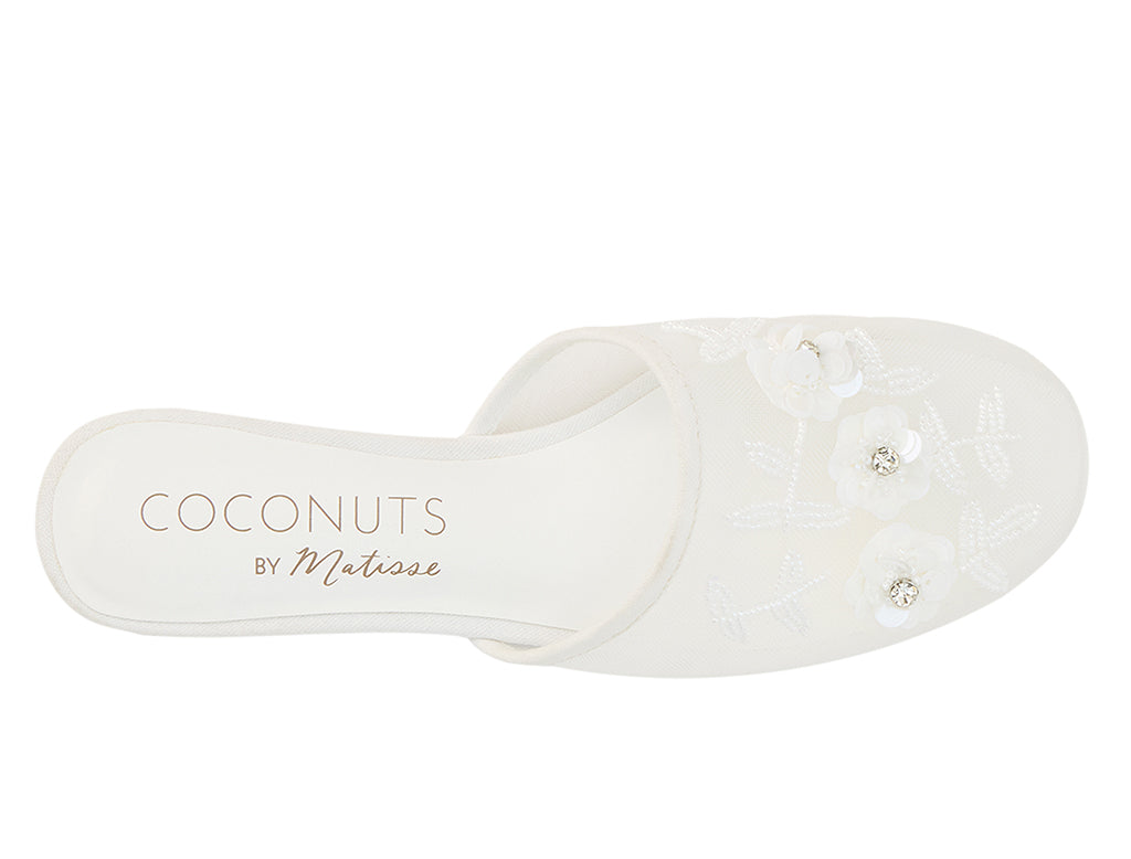 Coconuts by Matisse Women's Maven