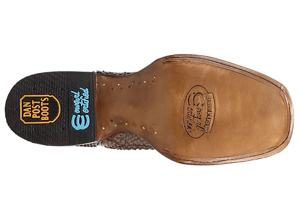 Dan Post Women's Amara Python Western