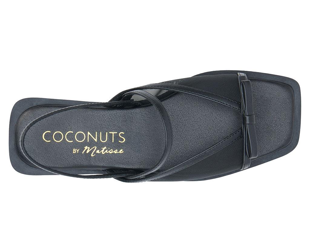 Coconuts by Matisse Women's Tropea