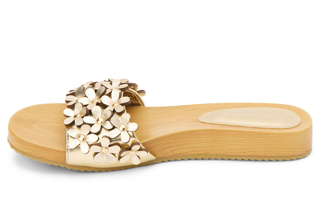 Coconuts by Matisse Women's Chelsea