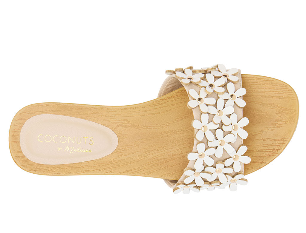 Coconuts by Matisse Women's Chelsea