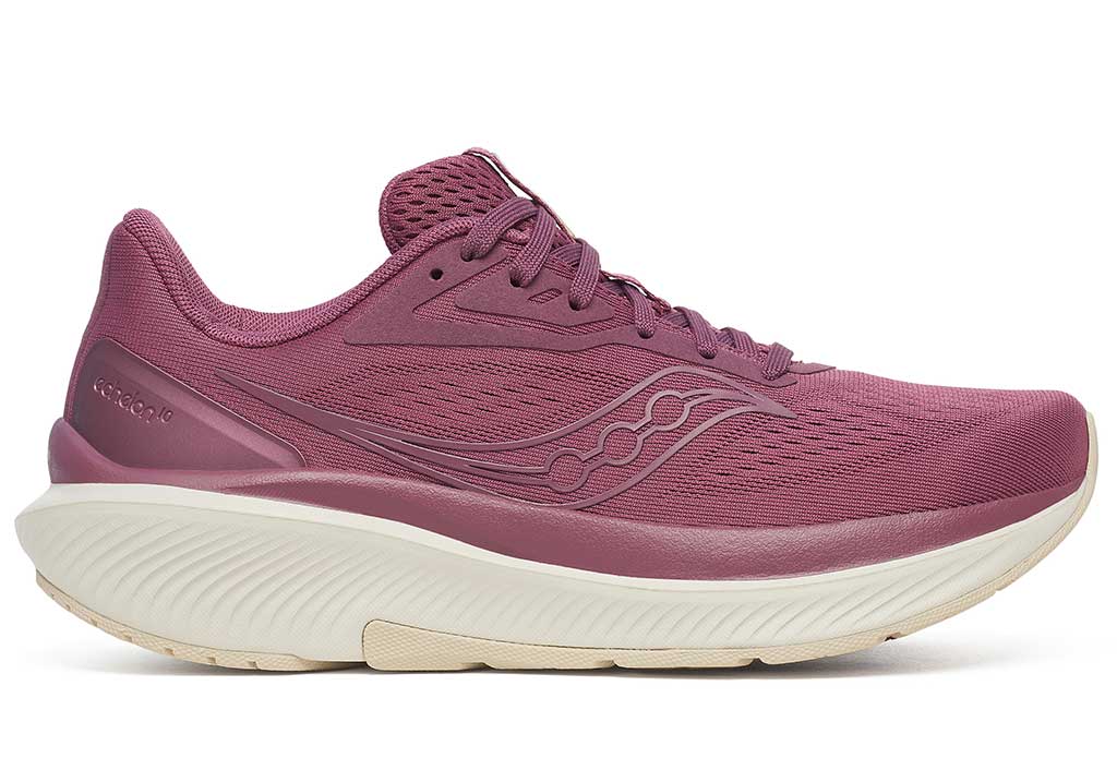 Saucony Women's Echelon 10