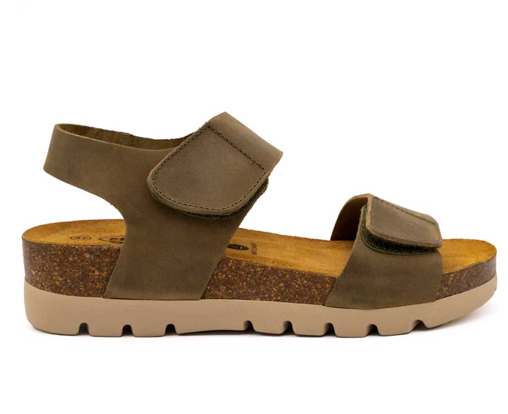 Plakton Women's Compi