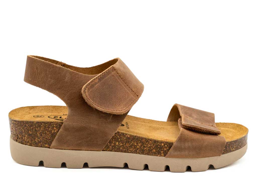 Plakton Women's Compi