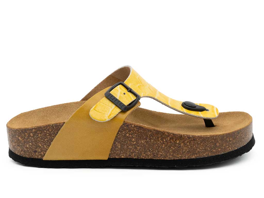 Plakton Women's CP Bolero