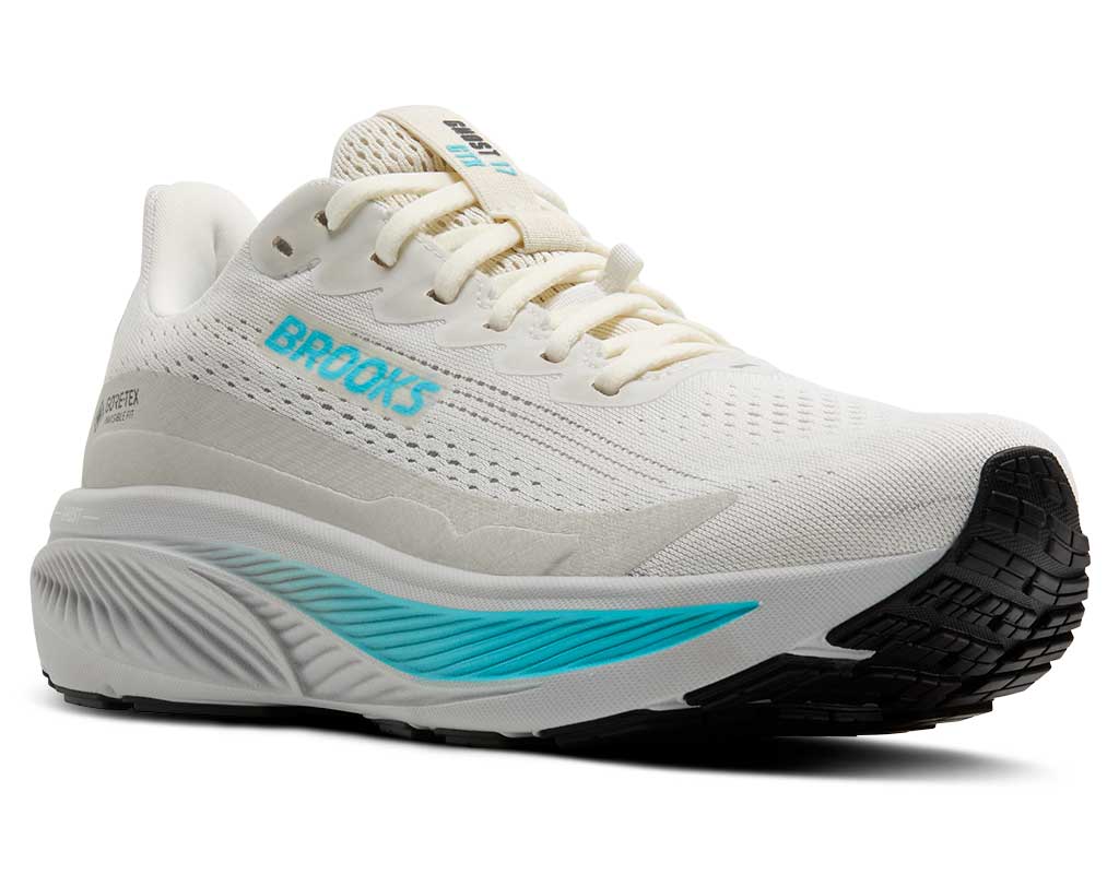 Brooks Women's Ghost 17 GTX