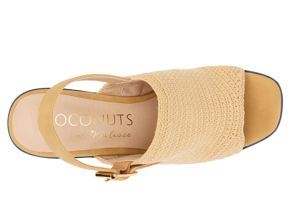 Coconuts by Matisse Women's York