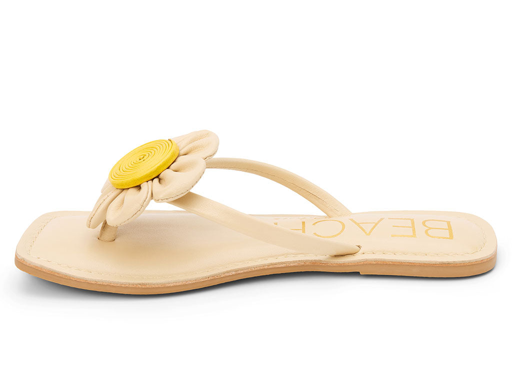 Beach by Matisse Women's Bouquet