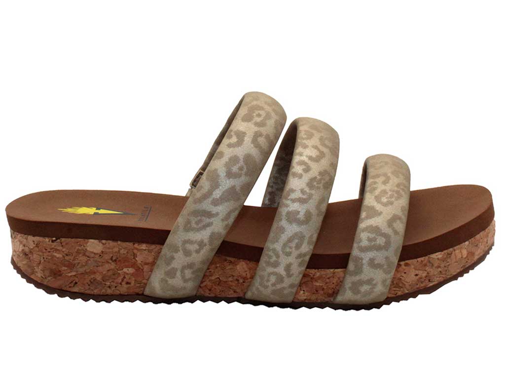 Volatile Women's Gillette