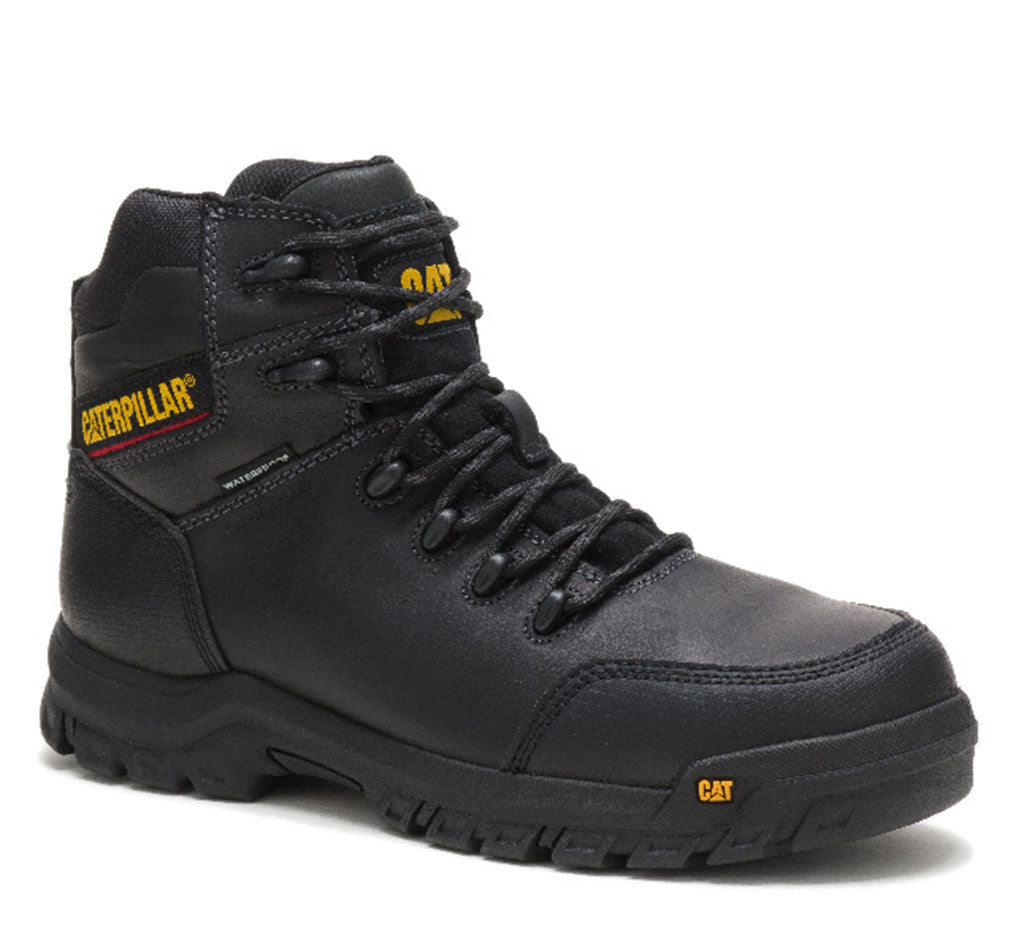 Cat Men's Resorption WP CT SR EH