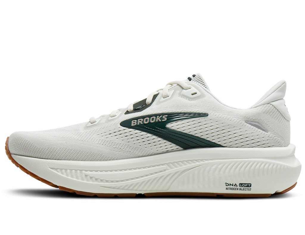 Brooks Men's Ghost 18 Road Running Shoe