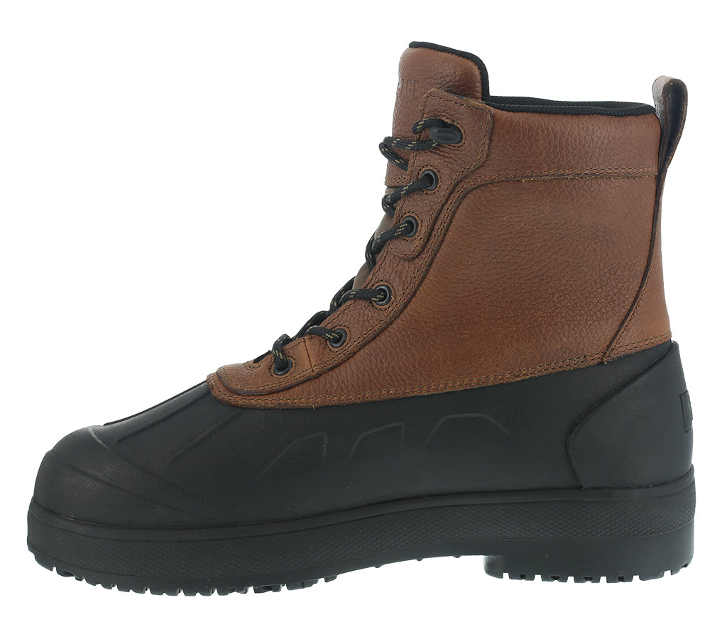 Iron Age Women's Compound CT