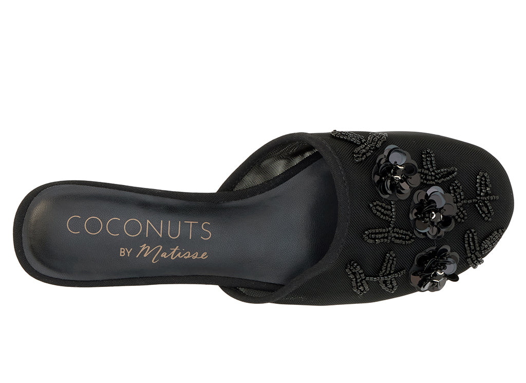 Coconuts by Matisse Women's Maven