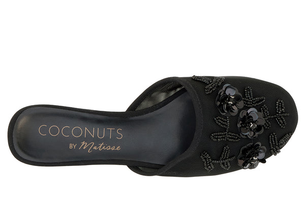 Coconuts by Matisse Women's Maven