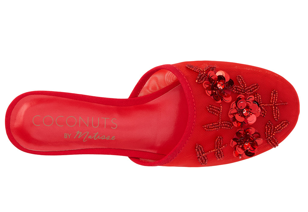 Coconuts by Matisse Women's Maven