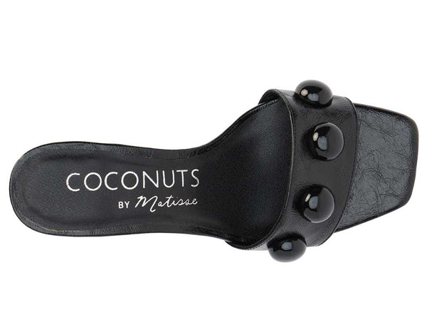 Coconuts by Matisse Women's Theo