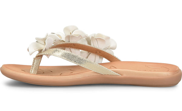 b.o.c Women's Hensley Floral Thong Sandals