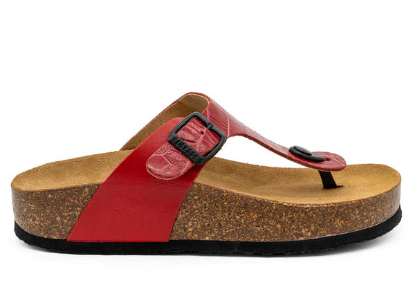 Plakton Women's CP Bolero