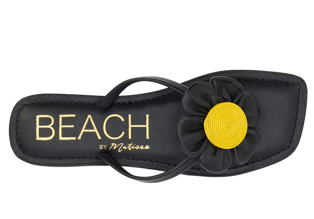 Beach by Matisse Women's Bouquet