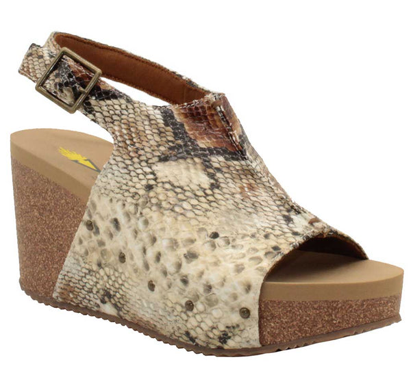 Volatile Women's Division