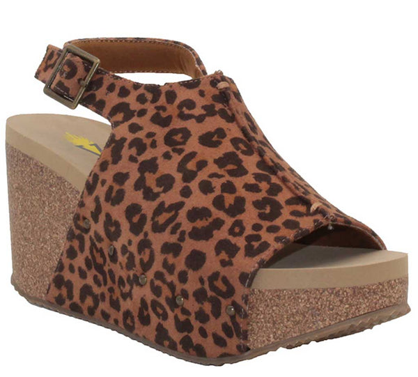 Volatile Women's Division