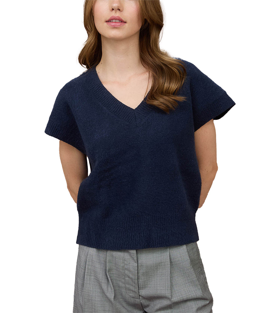 Blu Pepper V Neck Short Sleeve Knit Pullover Sweater
