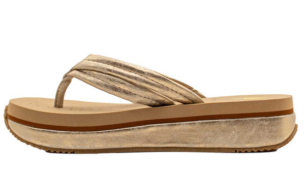 Volatile Women's Stargazer