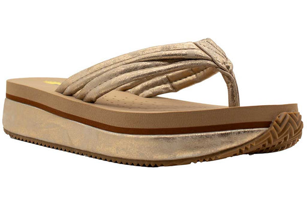 Volatile Women's Stargazer