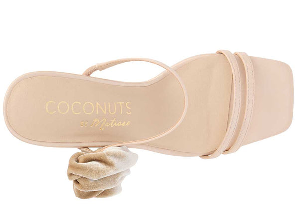 Coconuts by Matisse Women's Rosa