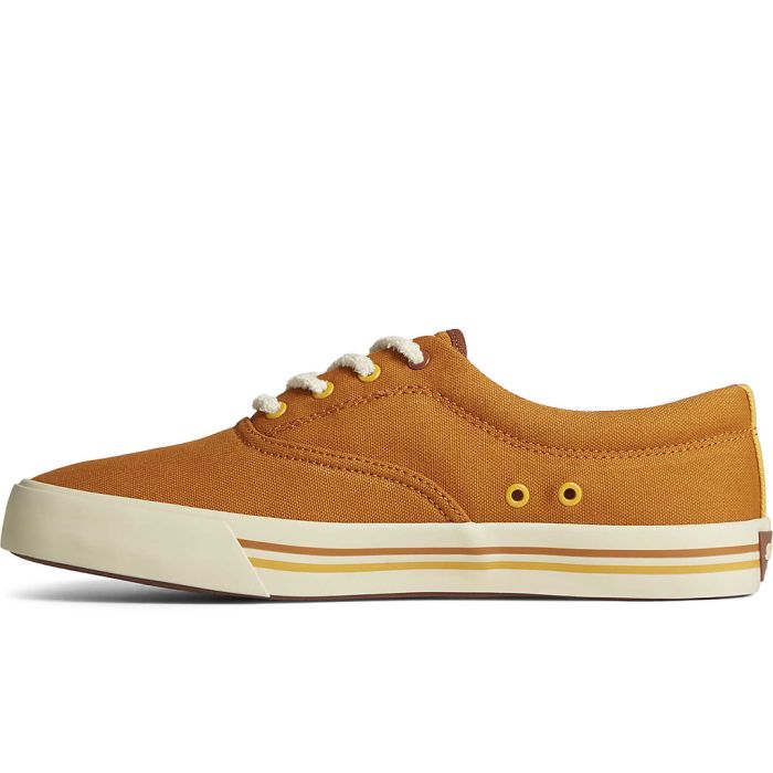 Sperry striper store 2 cvo sneaker