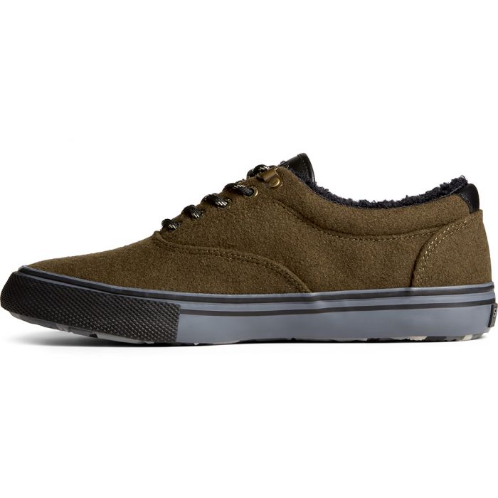 Sperry 2024 cvo wool