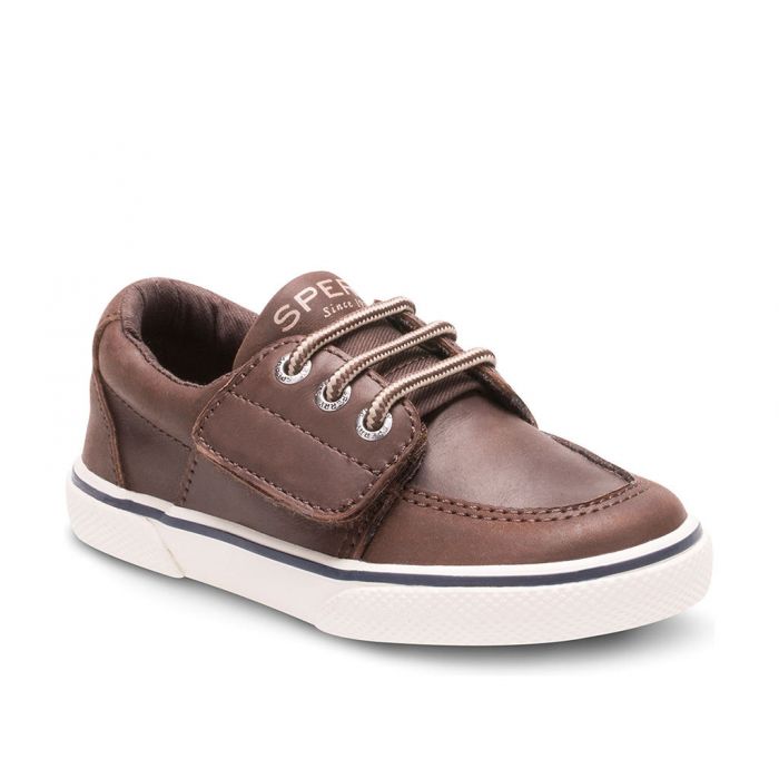 sperry ollie jr