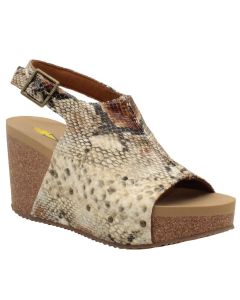 Volatile Women's Division Beige Multi